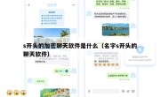 s开头的加密聊天软件是什么（名字s开头的聊天软件）