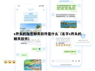 s开头的加密聊天软件是什么（名字s开头的聊天软件）