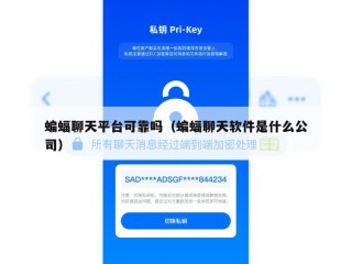 蝙蝠聊天平台可靠吗（蝙蝠聊天软件是什么公司）