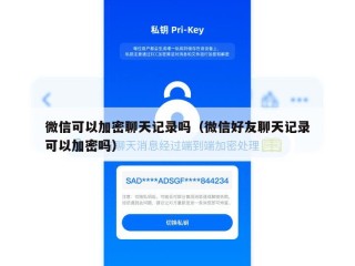 微信可以加密聊天记录吗（微信好友聊天记录可以加密吗）
