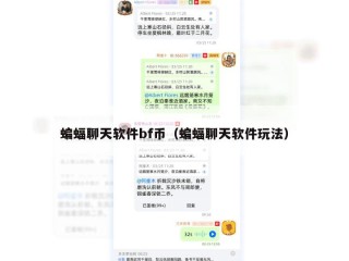 蝙蝠聊天软件bf币（蝙蝠聊天软件玩法）