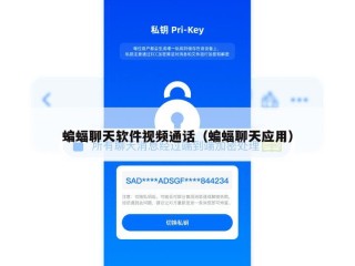 蝙蝠聊天软件视频通话（蝙蝠聊天应用）
