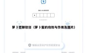 萝卜密聊软任（萝卜蜜的功效与作用及图片）