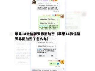 苹果14微信聊天界面加密（苹果14微信聊天界面加密了怎么办）