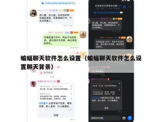 蝙蝠聊天软件怎么设置（蝙蝠聊天软件怎么设置聊天背景）