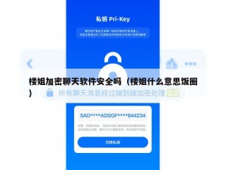 楼姐加密聊天软件安全吗（楼姐什么意思饭圈）