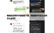 蝙蝠加密聊天电脑版下载（蝙蝠聊天加密失败怎么处理）