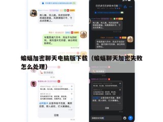 蝙蝠加密聊天电脑版下载（蝙蝠聊天加密失败怎么处理）