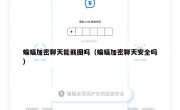 蝙蝠加密聊天能截图吗（蝙蝠加密聊天安全吗）
