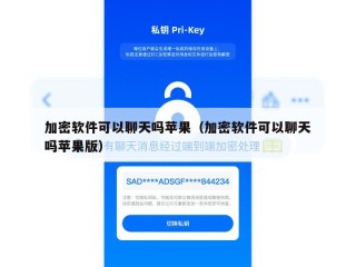 加密软件可以聊天吗苹果（加密软件可以聊天吗苹果版）