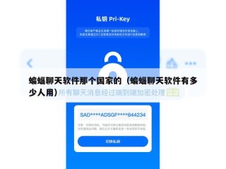 蝙蝠聊天软件那个国家的（蝙蝠聊天软件有多少人用）