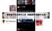 蝙蝠是个什么聊天工具（蝙蝠聊天是做什么的）