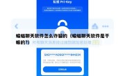 蝙蝠聊天软件怎么诈骗的（蝙蝠聊天软件是干嘛的?）