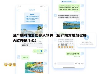 国产端对端加密聊天软件（国产端对端加密聊天软件是什么）