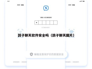 鸽子聊天软件安全吗（鸽子聊天图片）