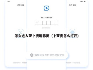 怎么进入萝卜密聊界面（卜萝密怎么打开）