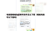 电脑版蝙蝠加密聊天软件怎么下载（蝙蝠电脑可以下载吗）