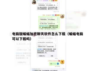 电脑版蝙蝠加密聊天软件怎么下载（蝙蝠电脑可以下载吗）