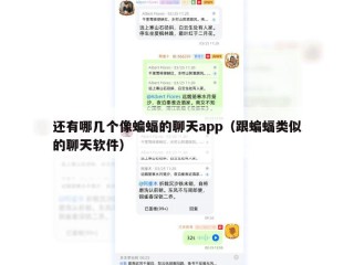 还有哪几个像蝙蝠的聊天app（跟蝙蝠类似的聊天软件）
