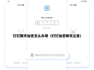 钉钉聊天加密怎么办理（钉钉加密聊天记录）