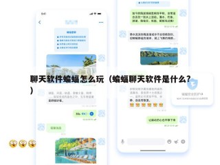 聊天软件蝙蝠怎么玩（蝙蝠聊天软件是什么?）