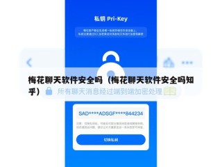 梅花聊天软件安全吗（梅花聊天软件安全吗知乎）