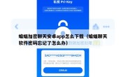 蝙蝠加密聊天安卓app怎么下载（蝙蝠聊天软件密码忘记了怎么办）