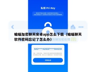 蝙蝠加密聊天安卓app怎么下载（蝙蝠聊天软件密码忘记了怎么办）