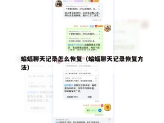 蝙蝠聊天记录怎么恢复（蝙蝠聊天记录恢复方法）