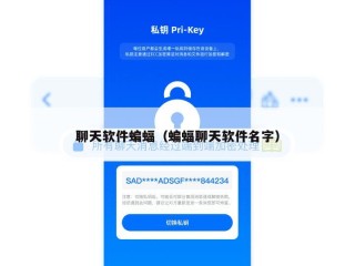 聊天软件蝙蝠（蝙蝠聊天软件名字）