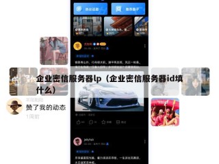 企业密信服务器lp（企业密信服务器id填什么）
