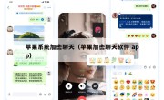 苹果系统加密聊天（苹果加密聊天软件 app）