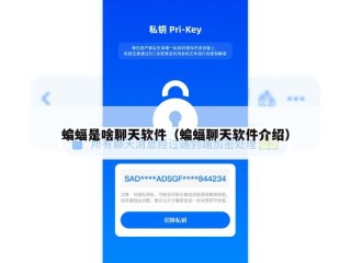 蝙蝠是啥聊天软件（蝙蝠聊天软件介绍）