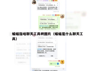 蝙蝠指啥聊天工具啊图片（蝙蝠是什么聊天工具）