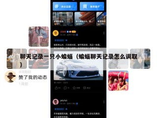 聊天记录一只小蝙蝠（蝙蝠聊天记录怎么调取）