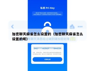 加密聊天麻雀怎么设置的（加密聊天麻雀怎么设置的呢）