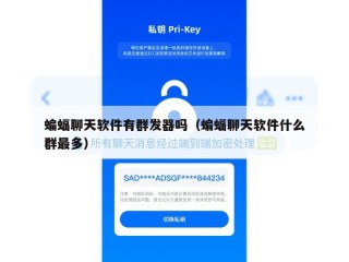 蝙蝠聊天软件有群发器吗（蝙蝠聊天软件什么群最多）