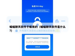 蝙蝠聊天软件干嘛用的（蝙蝠聊天软件是什么?）