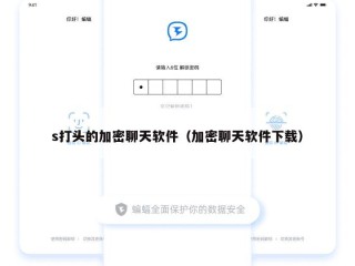 s打头的加密聊天软件（加密聊天软件下载）