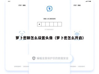 萝卜密聊怎么设置头像（萝卜密怎么开启）