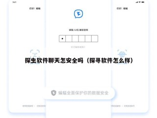 探虫软件聊天怎安全吗（探寻软件怎么样）