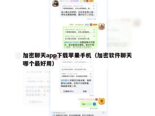 加密聊天app下载苹果手机（加密软件聊天哪个最好用）