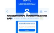 蝙蝠加密聊天保险吗（蝙蝠聊天软件怎么找回密码）