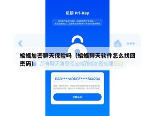 蝙蝠加密聊天保险吗（蝙蝠聊天软件怎么找回密码）