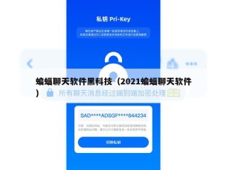 蝙蝠聊天软件黑科技（2021蝙蝠聊天软件）