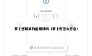 萝卜密聊真的能赚钱吗（萝卜密怎么开启）