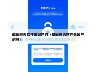 蝙蝠聊天软件是国产的（蝙蝠聊天软件是国产的吗）