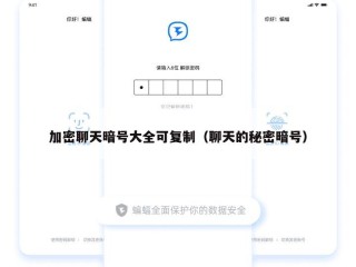 加密聊天暗号大全可复制（聊天的秘密暗号）