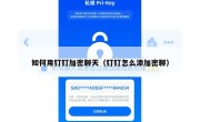 如何用钉钉加密聊天（钉钉怎么添加密聊）