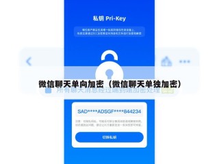 微信聊天单向加密（微信聊天单独加密）